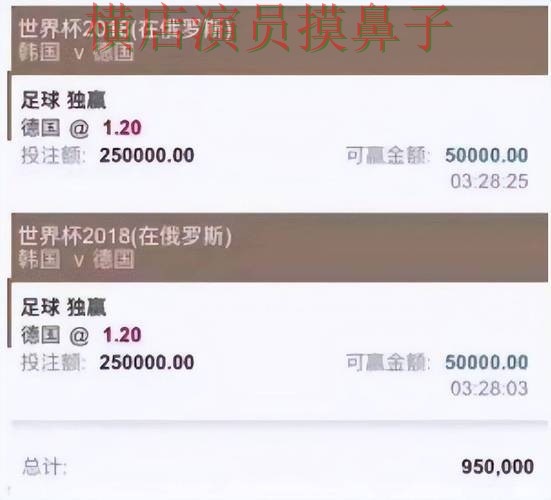 FIFA World Cup 2026期间热门世界杯买球平台实测对比与玩法指南分析 FIFA World Cup 2026期间热门世界杯买球平台实测对比与玩法指南分析